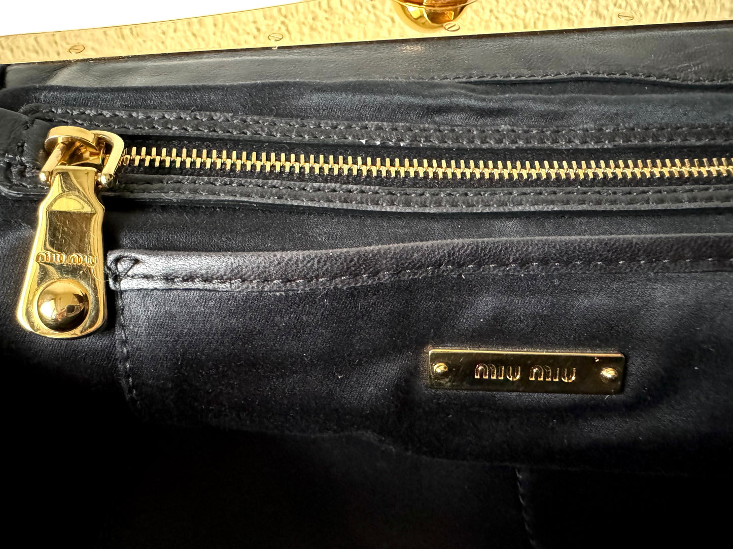 Miu Miu Leather Bag