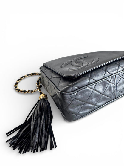 CHANEL CC Quilted Lambskin Camera Bag