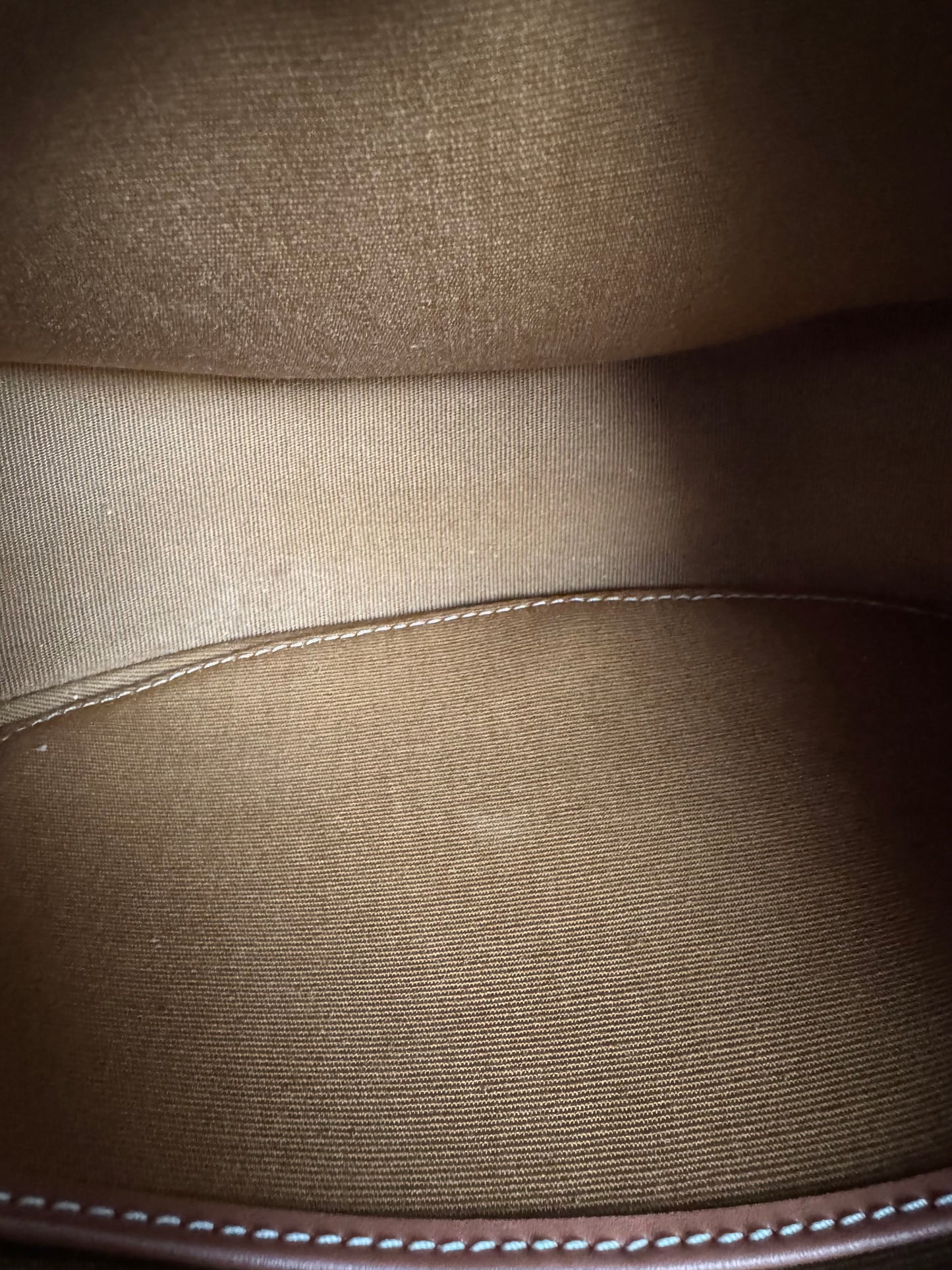 CELINE Canvas Calfskin Ava Triomphe Shoulder Bag