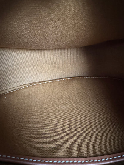 CELINE Canvas Calfskin Ava Triomphe Shoulder Bag